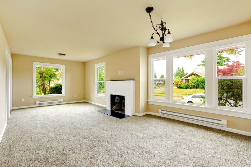 Carpet Replacement detail