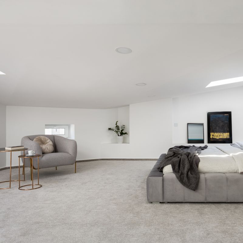 Carpet Service detail