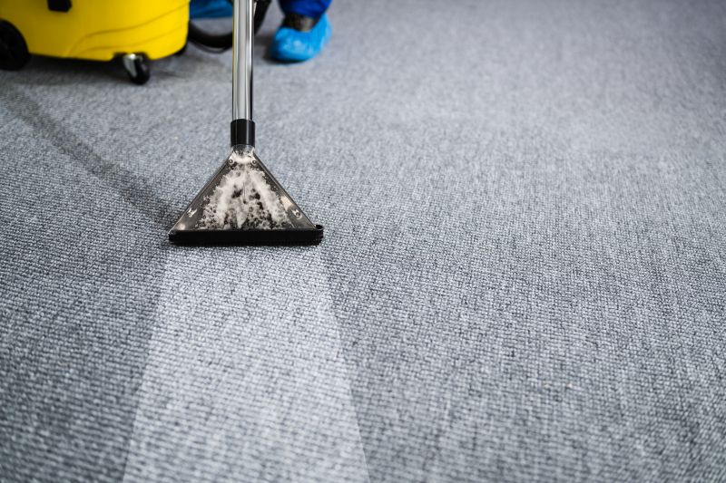 Professional Carpet Cleaning in Action